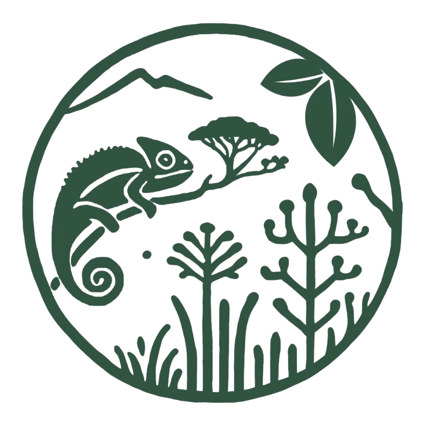 Logo (2) (1)