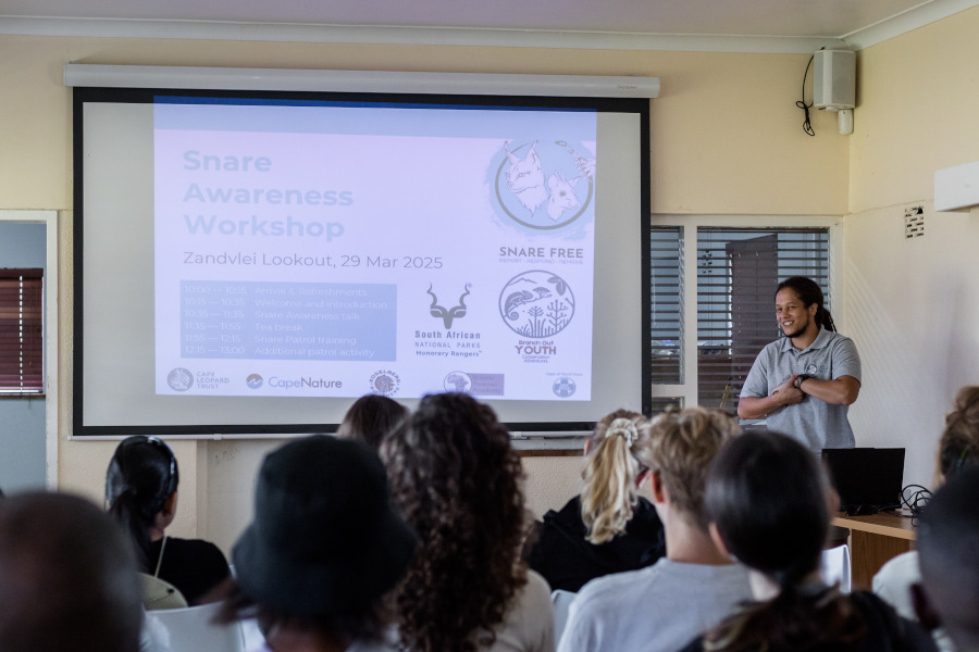 snare-awareness-workshop snare-awareness-workshop