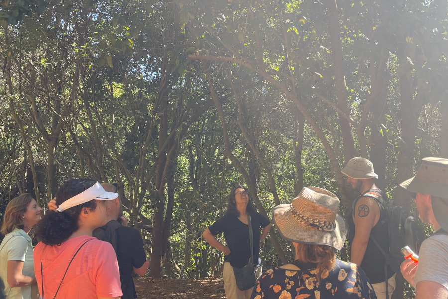 tree-identification-walk tree-identification-walk